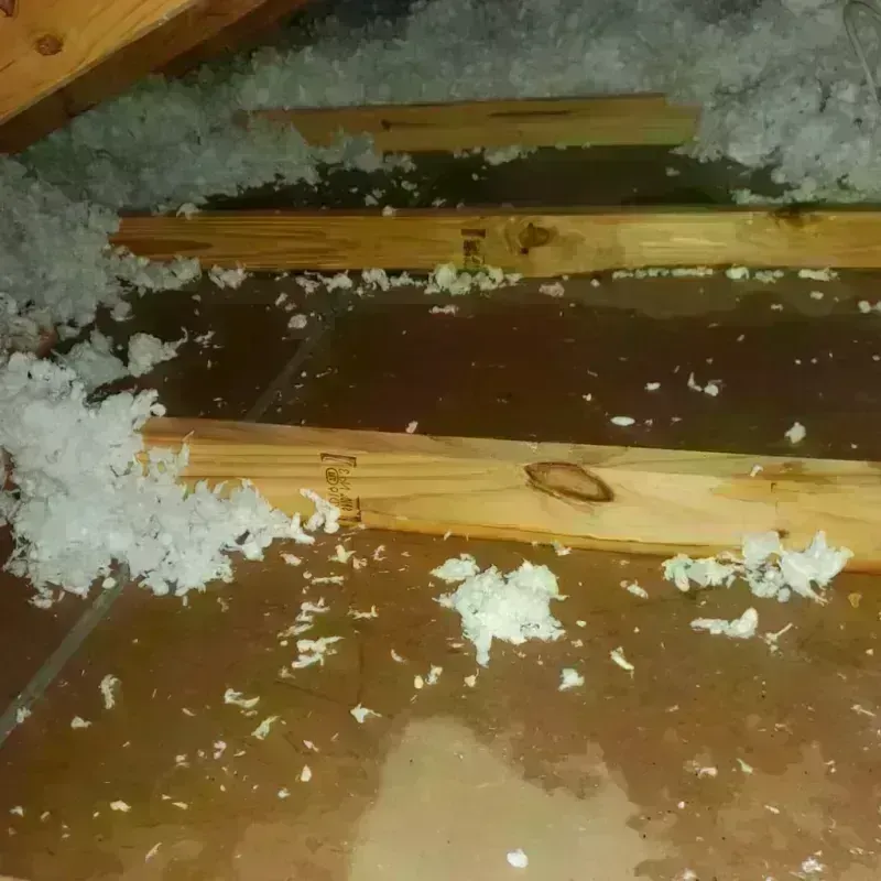 Attic Water Damage in Friona, TX