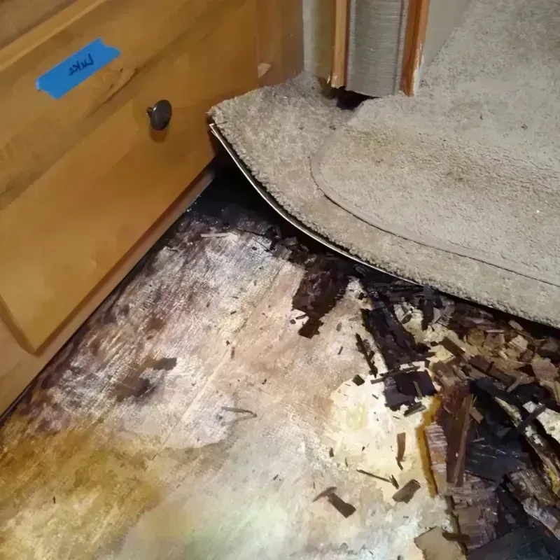 Wood Floor Water Damage in Friona, TX